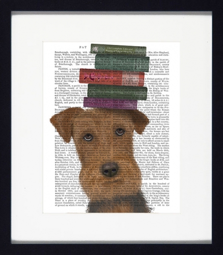 Novel Dogs I